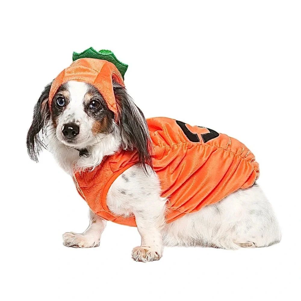 PET JACK-O’-LANTERN COSTUME NWT